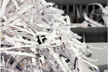 Document Shredding Services in Florida and Georgia