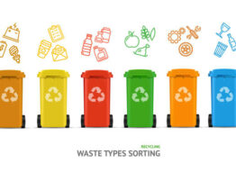 4 types of Waste