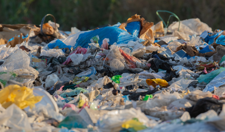 What is biowaste,
